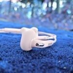 a white fish in the water