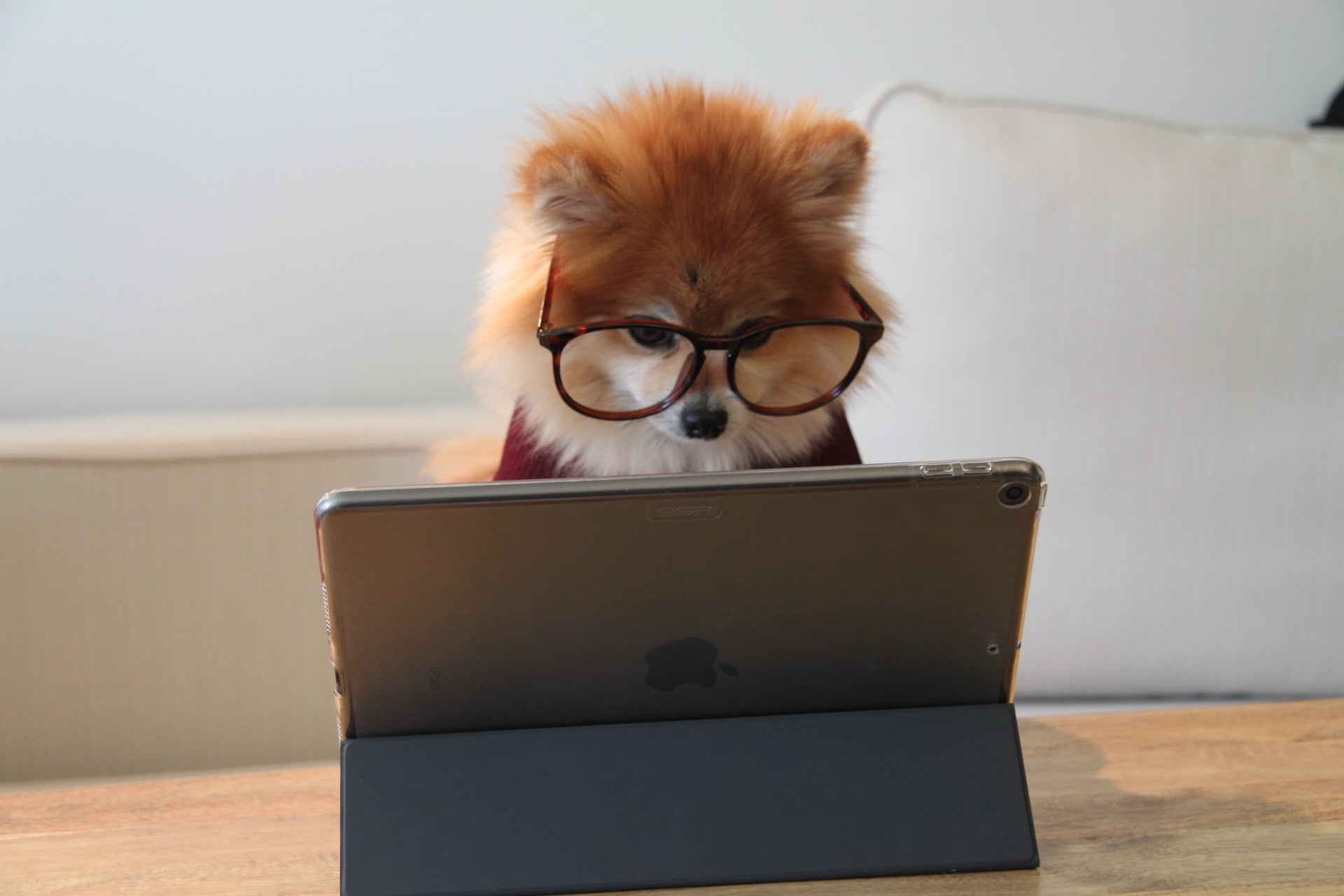 Where Can I Find Expert Medical Advice? 17 laptop