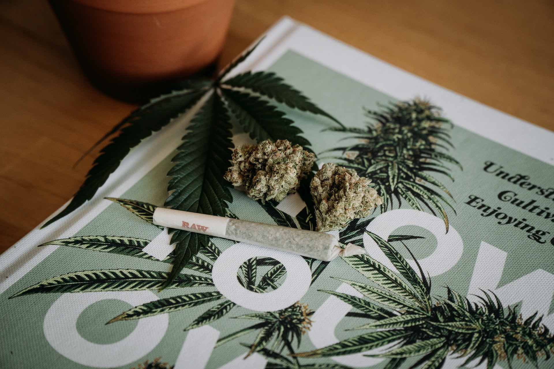 What's the Difference Between Delta-8 and Delta-9? 15 weed 1