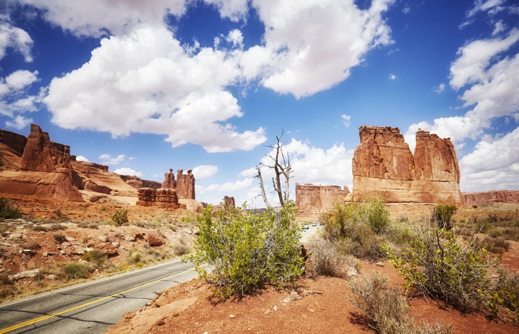 a road with bushes and rocks