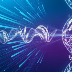 CRISPR in agriculture enhancing crop yields